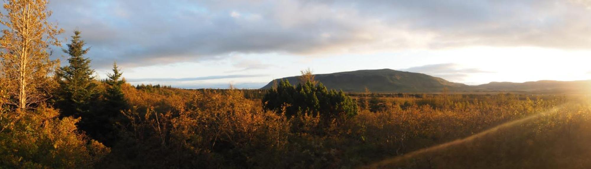 Local Cottage With Amazing View Selfoss Exteriér fotografie